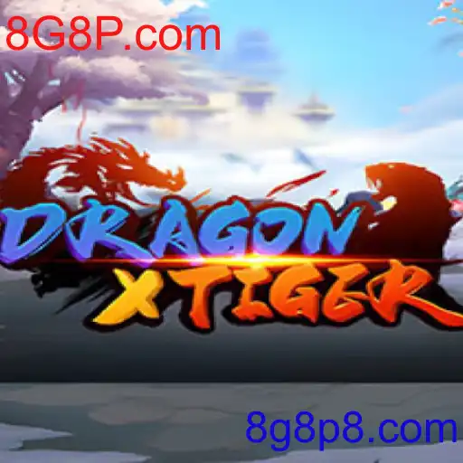 DragonXTiger